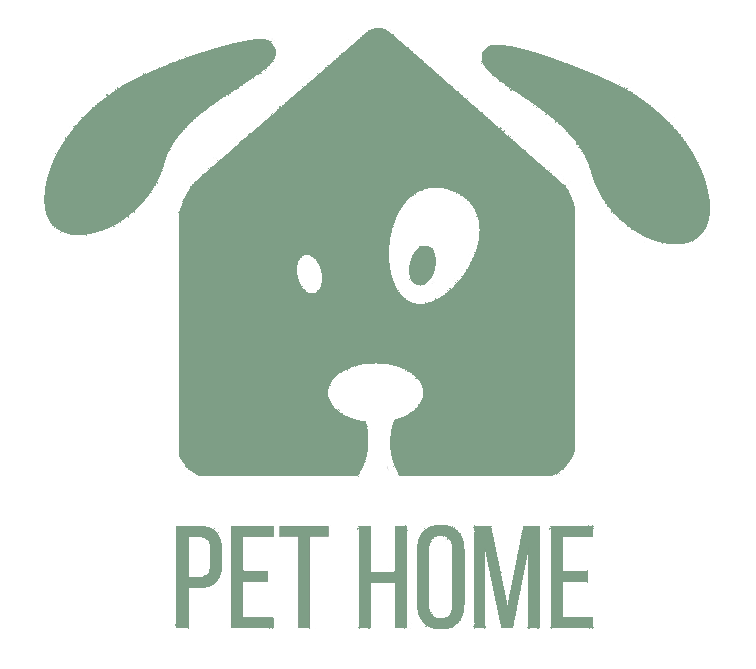 Pet Box Cartón Classic XL (perros grandes)