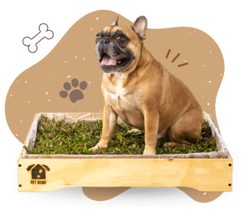 pet box premium principal